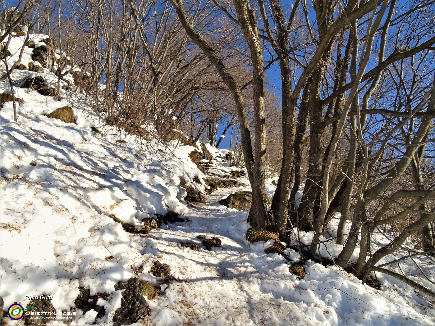 51 In decisa salita per il Monte Zucco.JPG